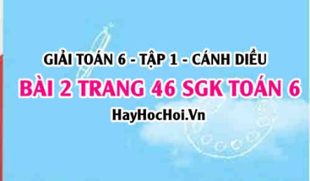 Giải bài 2 trang 46 Toán 6 Tập 1 SGK Cánh Diều